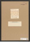 Campylodiscus collectus L.H.B. (de-Toni-Nr.: Genus 57, Species 2535) Zeichnungen Sammlung Grunow Nr. 5035 (NHMW-BOT-W0373293)